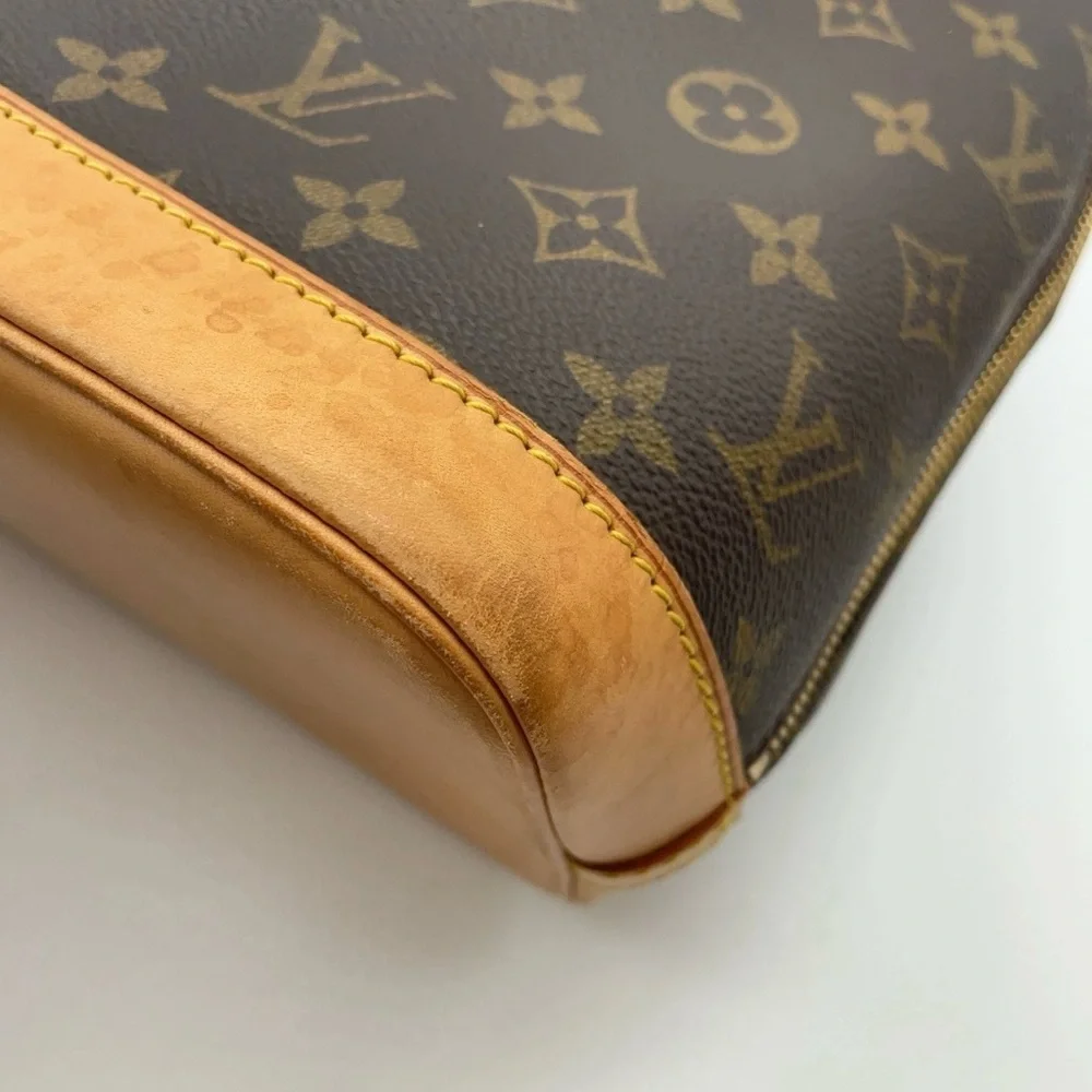 Louis Vuitton brand louis